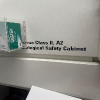 Thermo Forma Class II A2 4' BioSafety Cabinet image 0